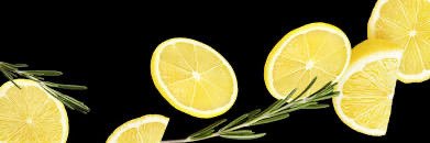 LurkingLemons's profile banner image
