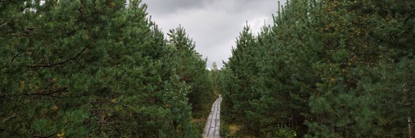 Vihmut Profile Banner