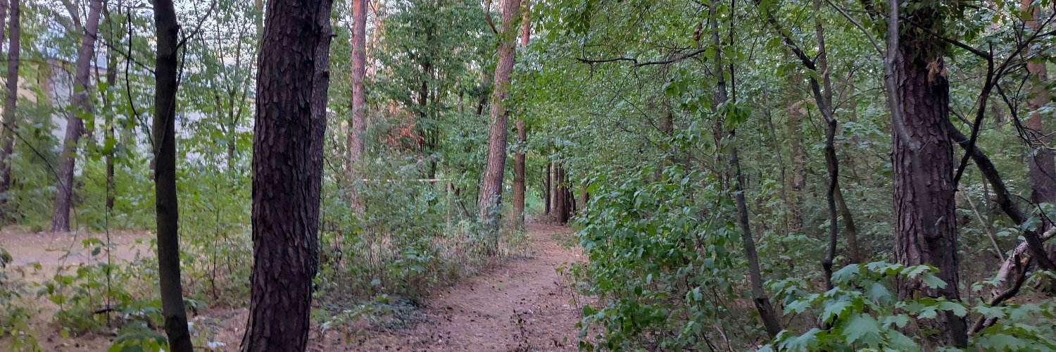 AsyncRevolution🇵🇸🇮🇷 (he/him) banner