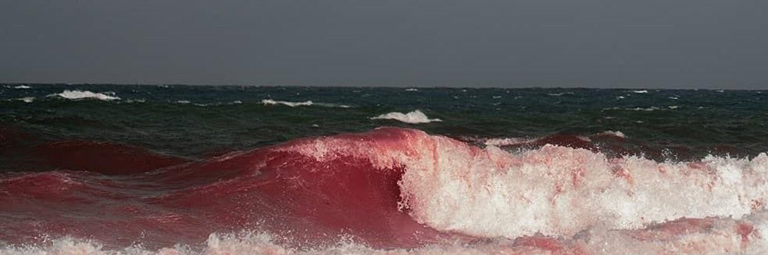 凱 風 快 晴 banner