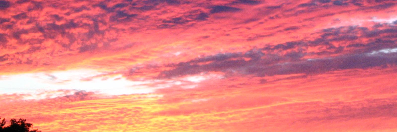 gerardgorman's profile banner image