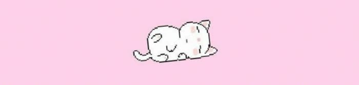 cozyblossom34's profile banner image