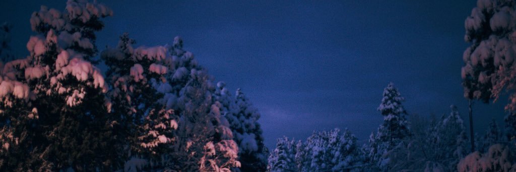 Lappenranta's profile banner image