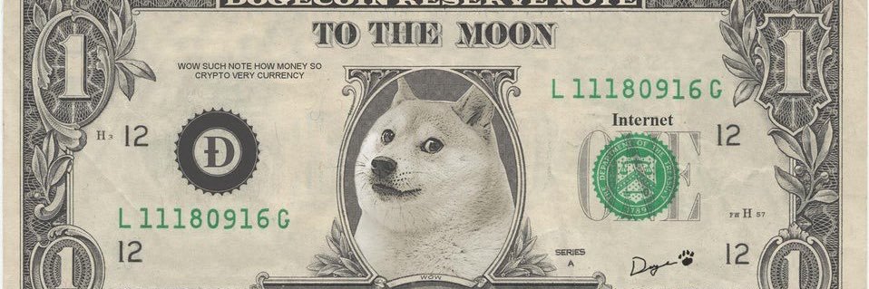 Trippy Doge banner