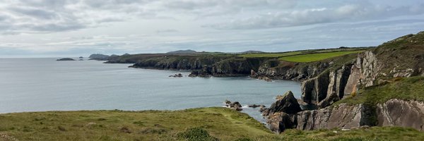 harrykingdon_ Profile Banner