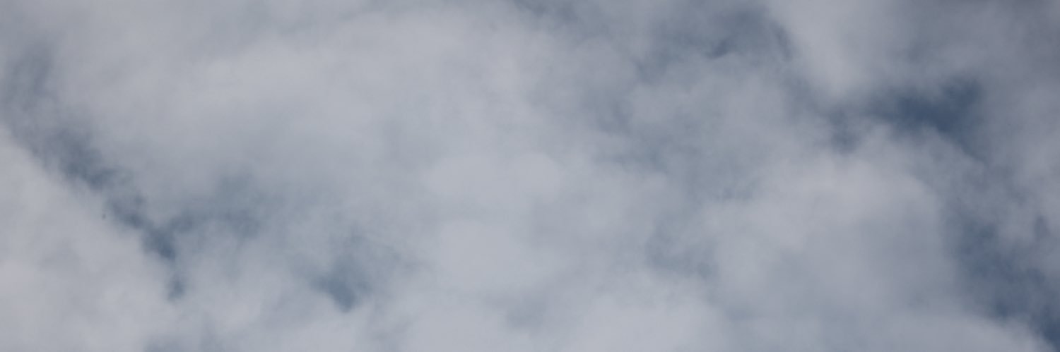 Jenny Burrows banner