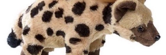 Yeena banner