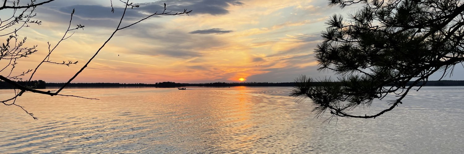 Ray L. Allen, PhD (@rayallen.bsky.social) banner