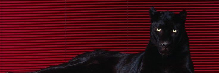 ittsrutthh's profile banner image