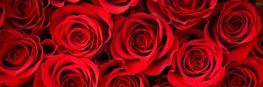 Asia✨ banner