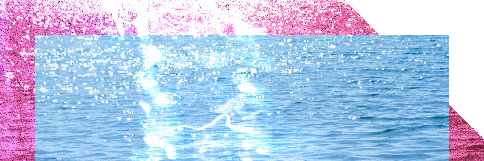 水になりたい。's banner