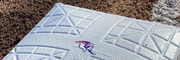 MSBulldogBS Profile Banner