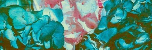 Kala7457's profile banner image