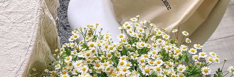 บูบู banner