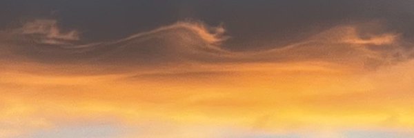 michaelannotti Profile Banner