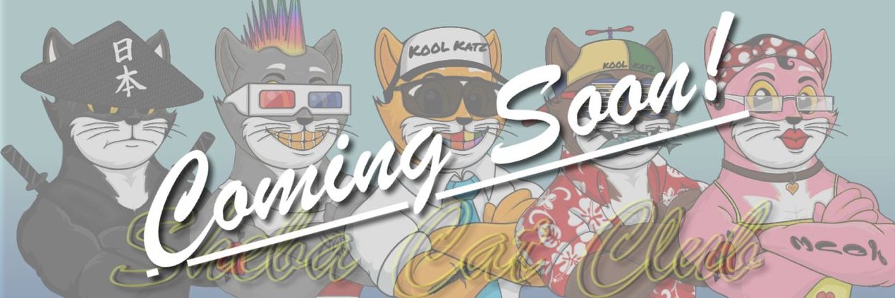 shebatokenbsc's profile banner image