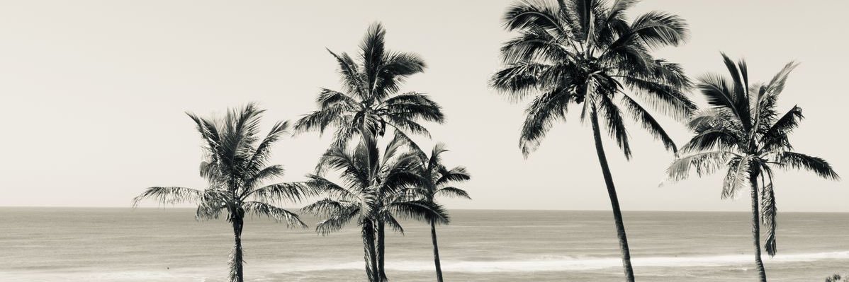 evaaaap_'s profile banner image