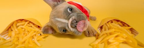 Minh Map Hoa 🕹️ $RCADE banner