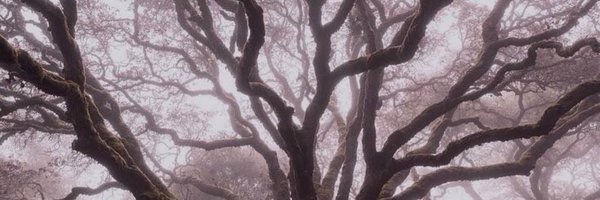 _NXRTHERNN Profile Banner