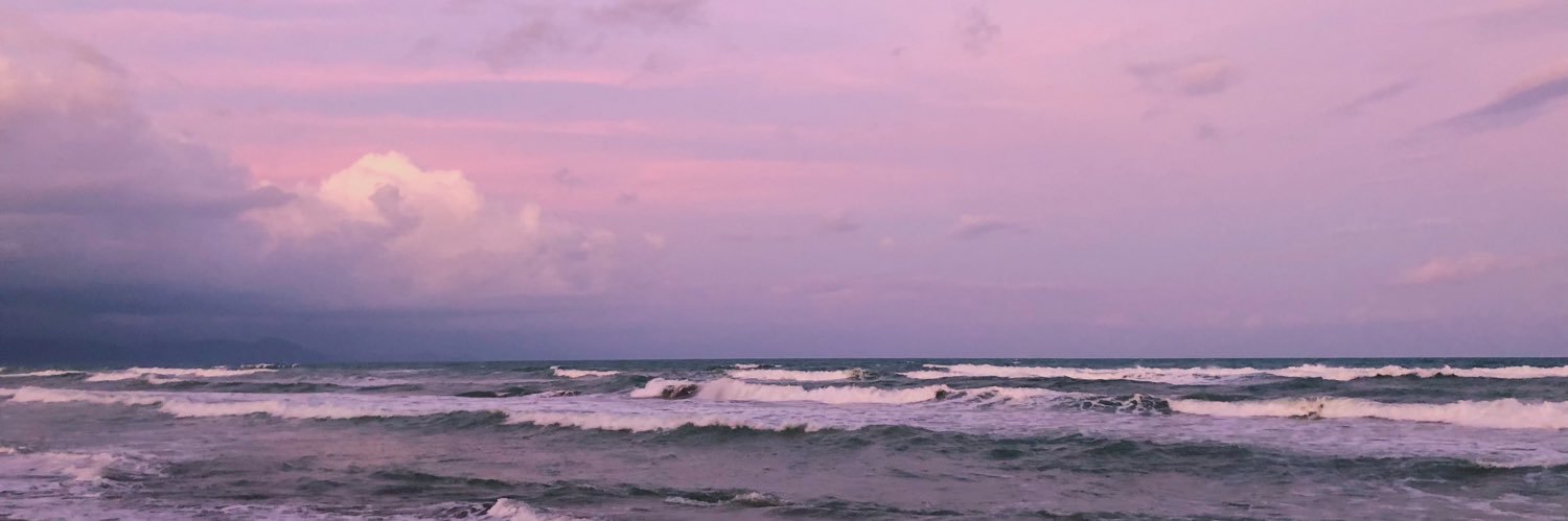 niarota's profile banner image