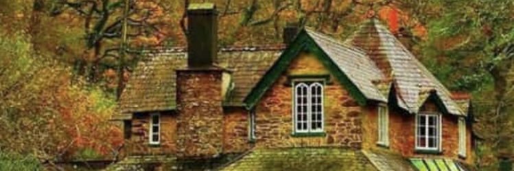 silvana amato banner