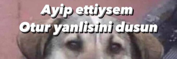 melispelister's profile banner image