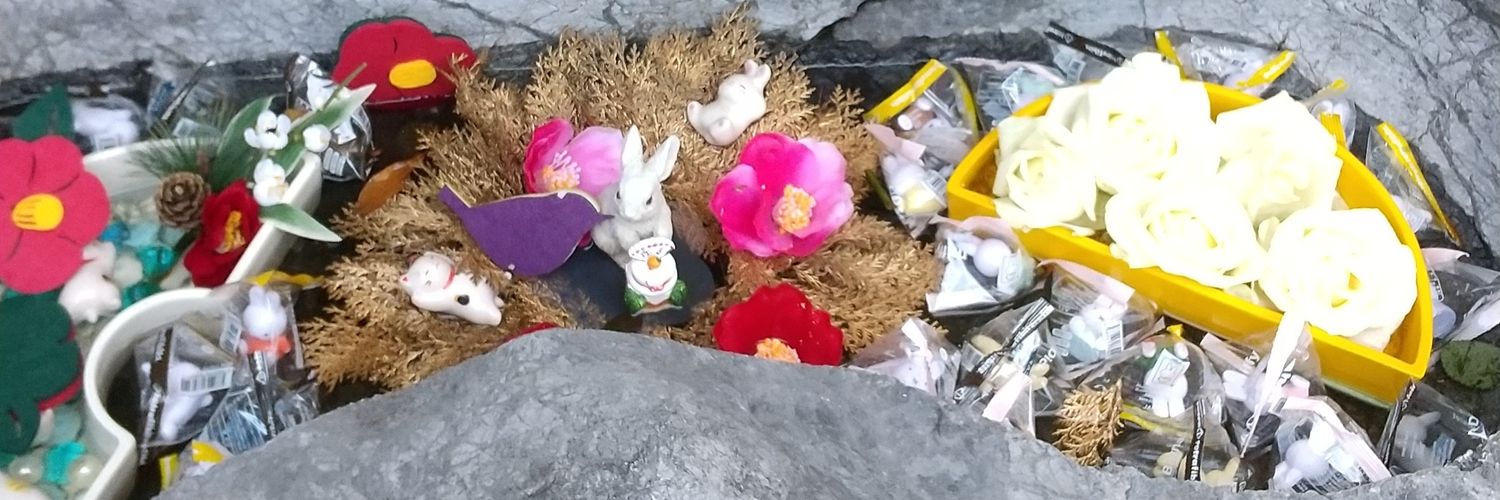 きのこのこ🍄 banner