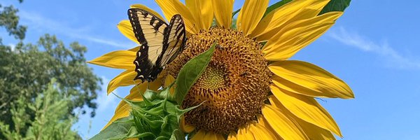 Rushtolive Profile Banner