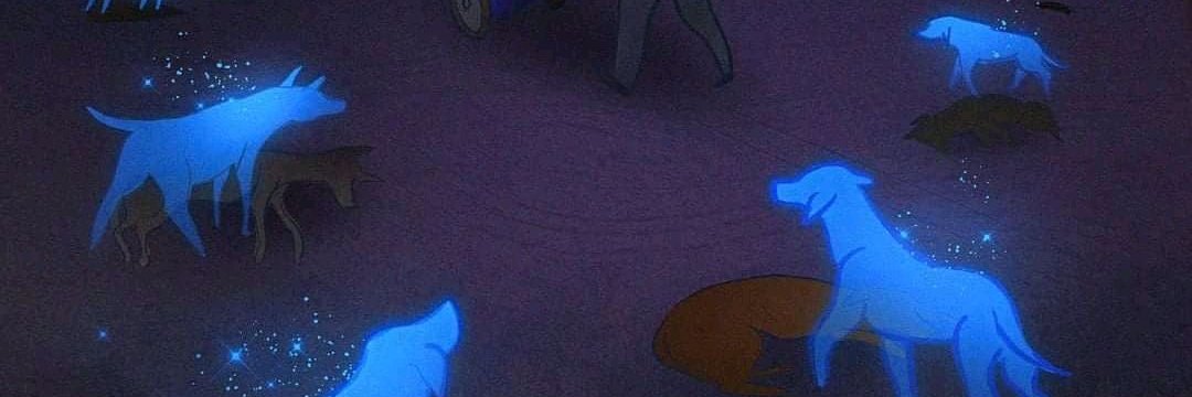 Allen 🇺🇦🇺🇸🇨🇦🇪🇺🇨🇭 Fella banner