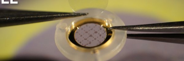 CryoCapCell Profile Banner