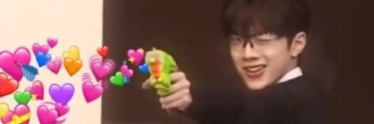 🐰 banner
