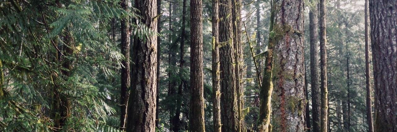 graygilmore's profile banner image