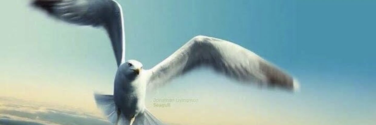 ‏๑°ੌ਼ ﮼نورس369 banner