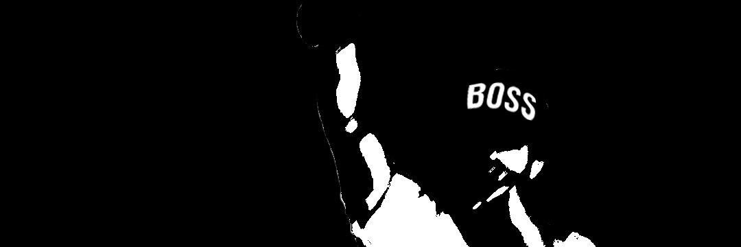Javi Boss banner