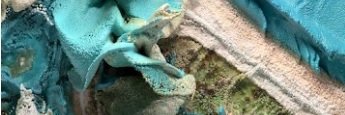 Margarita Dennis Peperina 🐸 banner