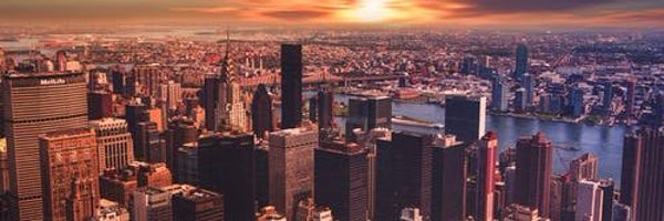 VioletLarson Profile Banner