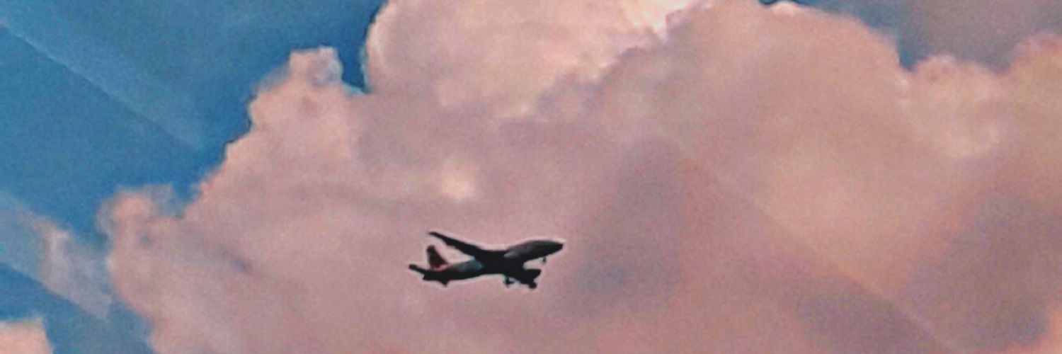 trialvianaa's profile banner image