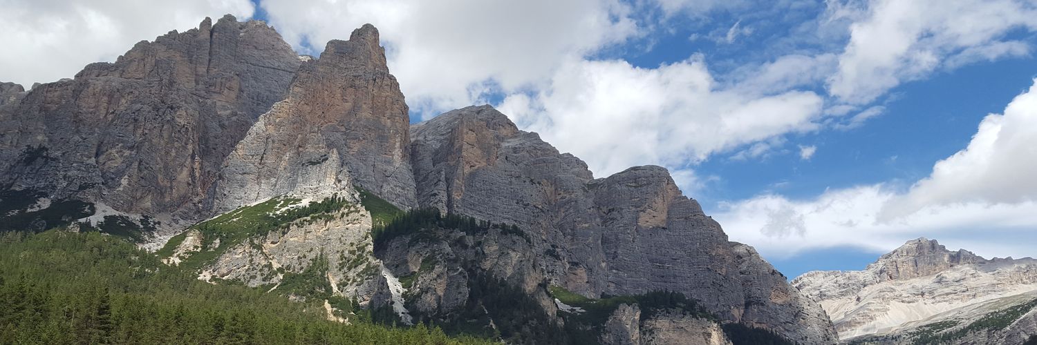 Barbara Burger banner