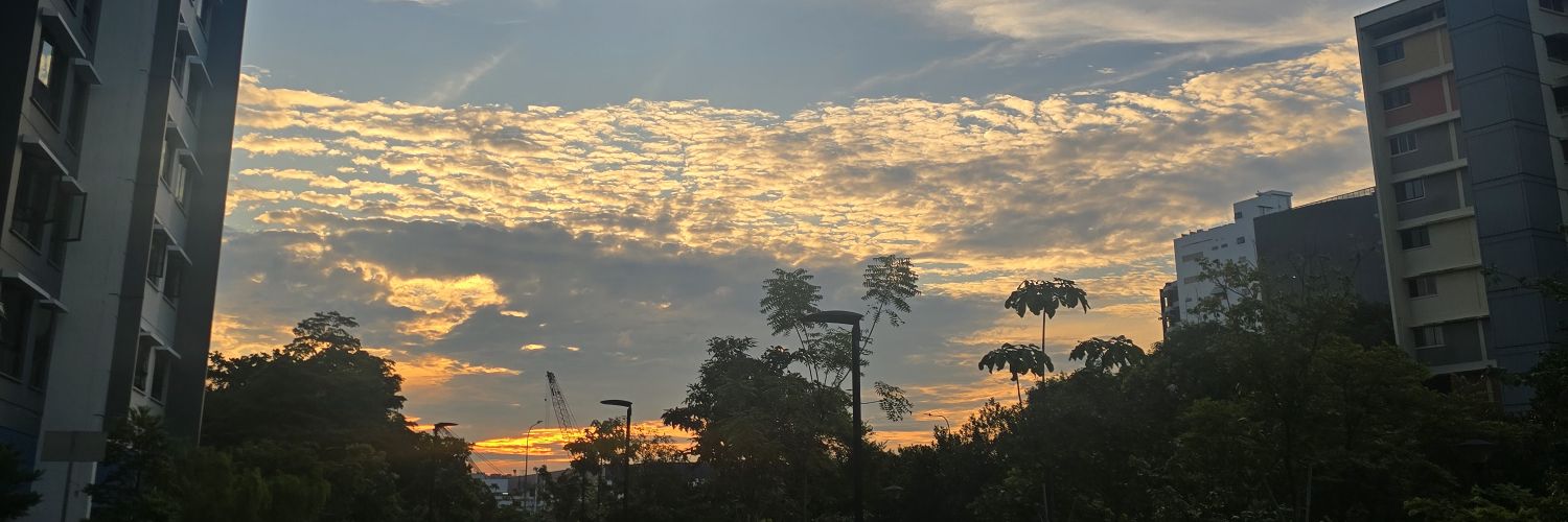 NVZZME's profile banner image