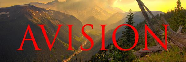 Avision Profile Banner