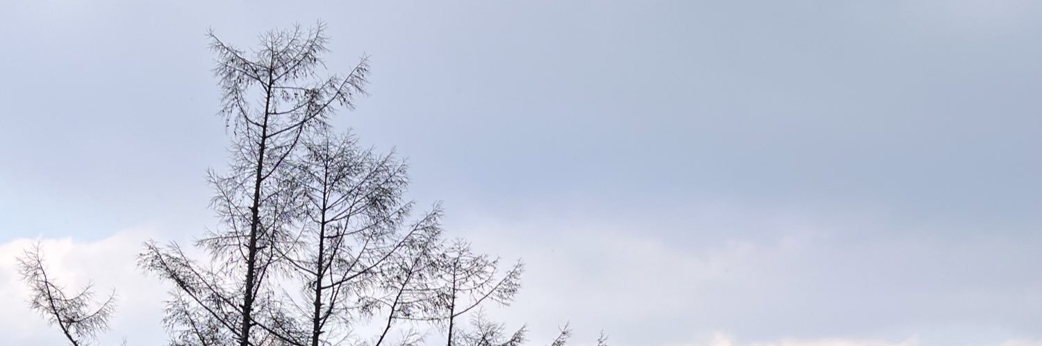Übermensch banner