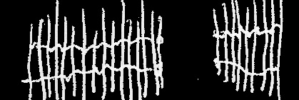 Frontyard Films banner