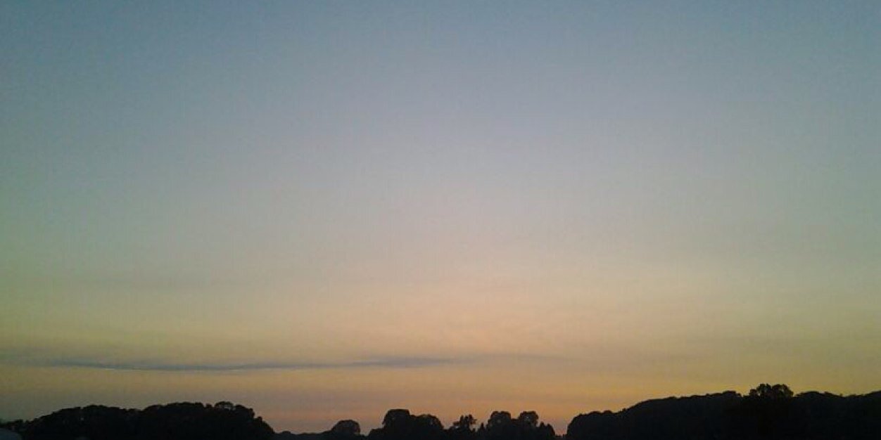 Herr Seltsamliebe banner