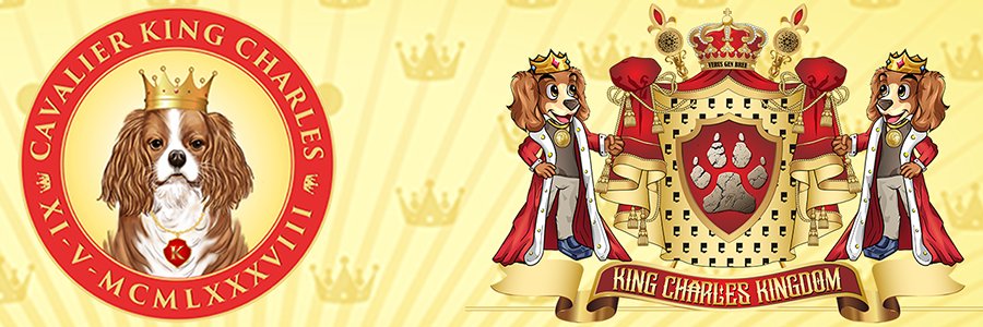 Cavalier King Charles token ($Charly) banner