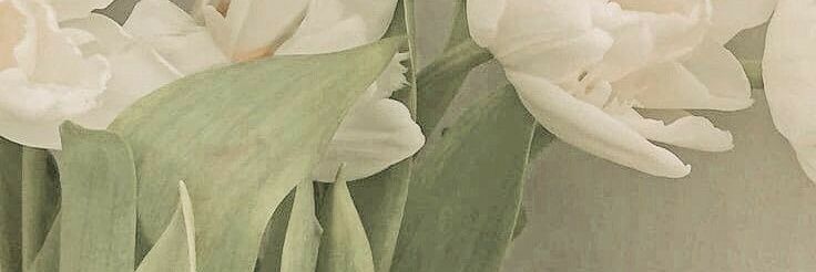 ෆ banner