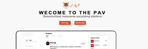 pavcoin's profile banner image