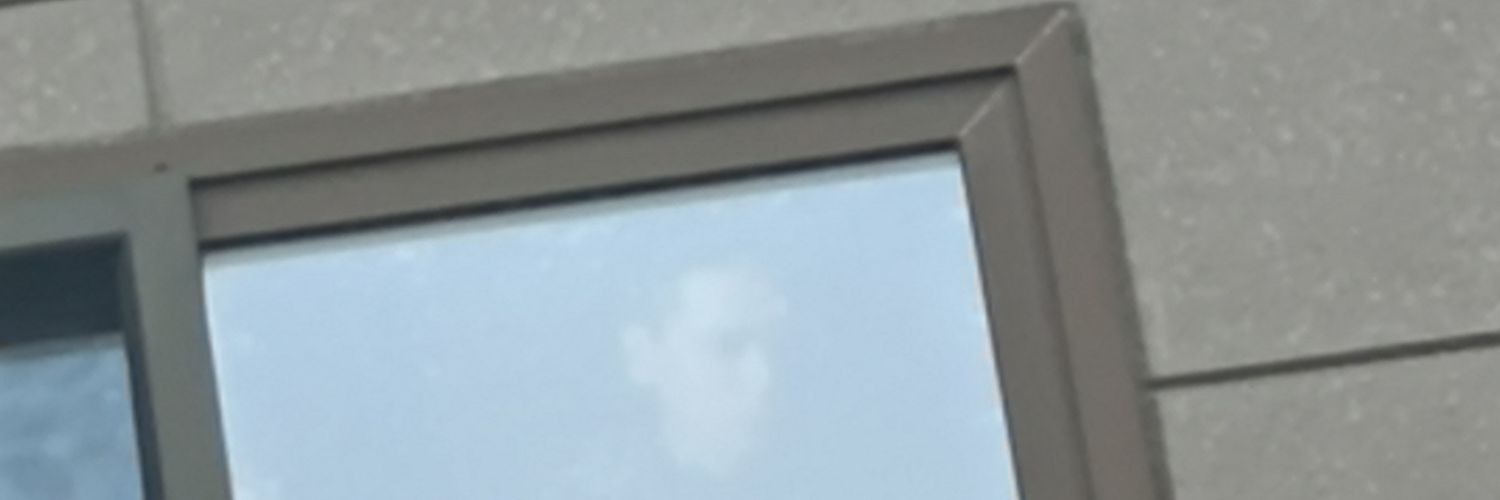 exstasy_8010's profile banner image