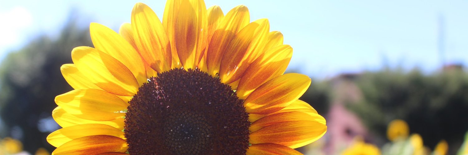TMK_CB0418's profile banner image
