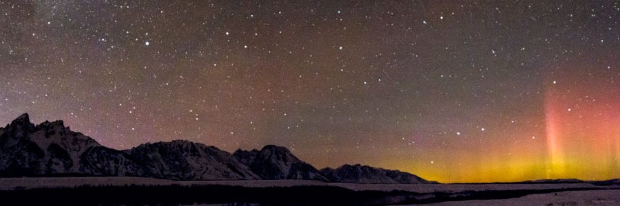 Dr. Kristine Larsen banner