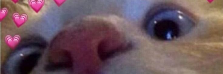 🧸 banner